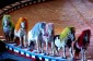 Thumbs/tn_Circ010.jpg