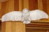 Thumbs/tn_D04014.jpg