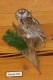 Thumbs/tn_D04015.jpg