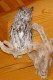 Thumbs/tn_D04016.jpg