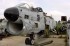 Thumbs/tn_Kmm4081.jpg