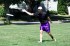 Thumbs/tn_AqUF06004.jpg