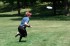 Thumbs/tn_AqUF06015.jpg
