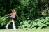 Thumbs/tn_Mm06004.jpg