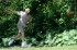 Thumbs/tn_Mm06044.jpg