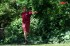 Thumbs/tn_Mm06063.jpg