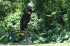 Thumbs/tn_Mm06068.jpg