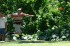 Thumbs/tn_Mm06088.jpg