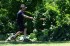 Thumbs/tn_Mm06108.jpg