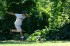 Thumbs/tn_Mm06129.jpg