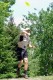 Thumbs/tn_Mnm08105.jpg