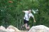 Thumbs/tn_SteveHarlinPDGA38435.jpg
