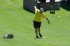 Thumbs/tn_MMAM09036.jpg
