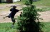Thumbs/tn_MMAM09100.jpg