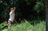 Thumbs/tn_MMAM09107.jpg