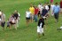 Thumbs/tn_MMF909011.jpg