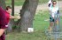 Thumbs/tn_MMF909022.jpg