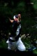Thumbs/tn_MMF909134.jpg
