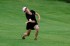 Thumbs/tn_MMPRO09059.jpg