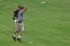Thumbs/tn_MMPRO09163.jpg
