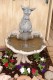 Thumbs/tn_Az06016.jpg